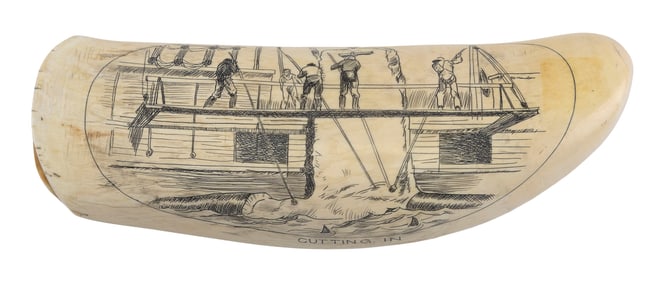 * ENGRAVED WHALE'S TOOTH "CUTTING IN" 20th Century Length 7".