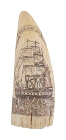 * ENGRAVED WHALE'S TOOTH "WHALING BARK AUK" 20th Century Length 5.25".