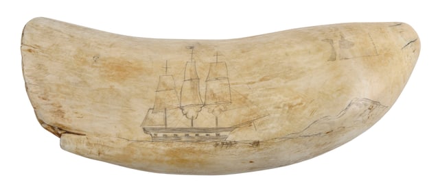 SCRIMSHAW WHALE'S TOOTH WITH SHIP PORTRAIT 19th Century Length 8".