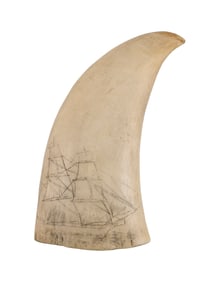 SCRIMSHAW WHALE'S TOOTH DEPICTING A TWO-MASTED SHIP 19th Century Length 5.75".