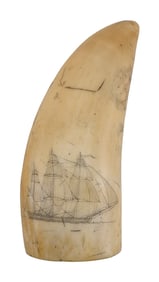 POLYCHROME SCRIMSHAW WHALE'S TOOTH WITH SHIP PORTRAIT 19th Century Length 4.75".