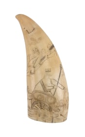 SCRIMSHAW WHALE'S TOOTH 19th Century Length 5.75".