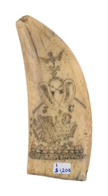 SCRIMSHAW WHALE'S TOOTH 19th Century Length 5".