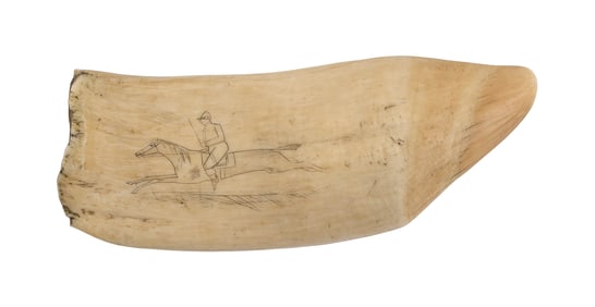 SCRIMSHAW WHALE'S TOOTH 19th Century Length 6.5".