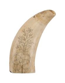 SCRIMSHAW WHALE'S TOOTH WITH PINPOINT EXECUTION 19th Century Length 6".