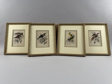 SET OF FOUR HAND-COLORED ENGRAVINGS OF BIRDS Mid-to Late 19th Century 5.25" x 3.5" sight. Framed