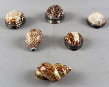 SIX VICTORIAN SHELL BOXES Late 19th Century Lengths to 3".