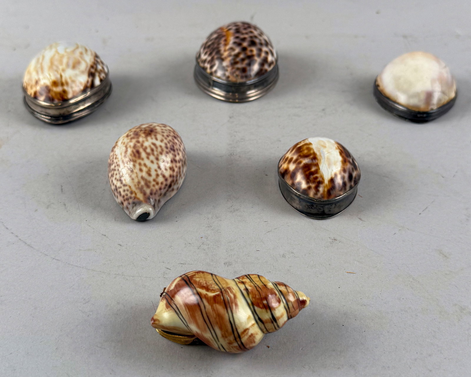 SIX MINIATURE SHELL BOXES Mostly 19th Century Lengths to 3".: SIX MINIATURE SHELL BOXES Mostly Late 19th Century Five are real shell with silver (only one is marked 'Sterling') or brass lids. One in conch shell form is 21st C. Limoges porcelain.. Lengths to 3".