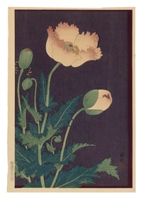 OHARA KOSON (Japan, 1877-1945), Poppies., Woodblock print, oban tate-e, 15" x 10.25". Unframed.