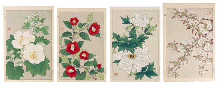 SHODO KAWARAZAKI (Japan, 1889-1973), Four floral studies., Woodblock prints, 15.5" x 10.5".