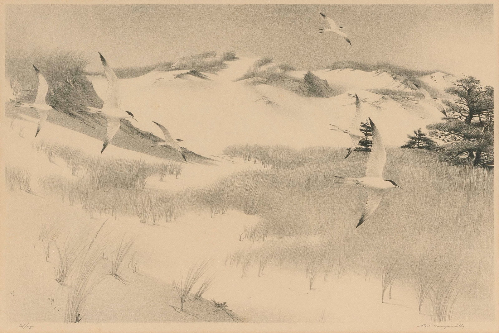 STOW WENGENROTH New York/Massachusetts, 1906-1978 Cry of the Terns, 1955 edition of 55. Signed: STOW WENGENROTHNew York/Massachusetts, 1906-1978Cry of the Terns, 1955 edition of 55. Signed lower right "Stow Wengenroth". Numbered "Ed/55" in pencil lower left. Stuckey 227.Etching on paper, 11" x 1