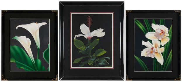 BRIAN DAVIS (California/Nevada, 1946-), Three floral views, circa 1980s:, Color pochoirs and