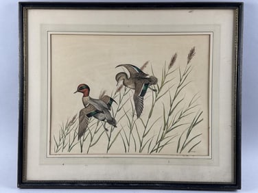 DENNIS PULESTON (New York, 1905-2001), "Green winged Teal with Phragmites"., Watercolor on