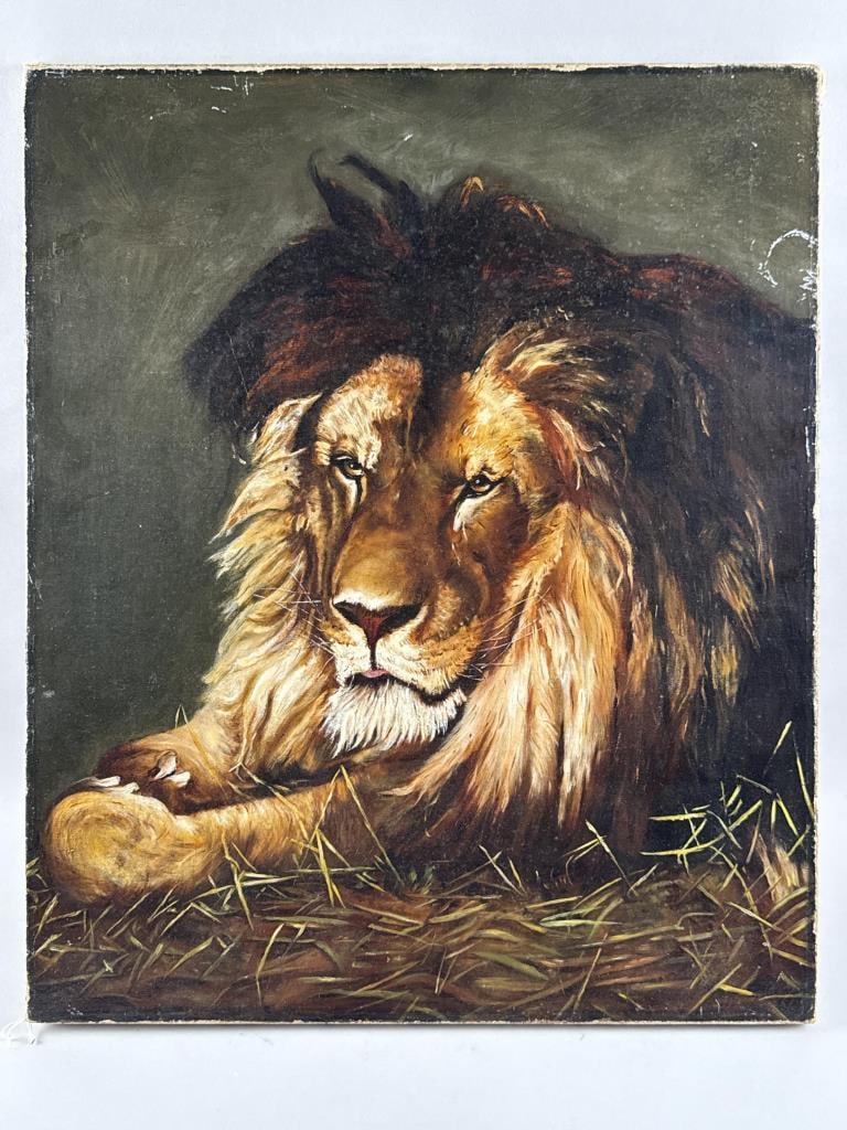 AMERICAN SCHOOL (Early 20th Century,), Portrait of a lion., Oil on canvas, 25" x 20". Unframed.: AMERICAN SCHOOL Early 20th Century Portrait of a lion. Unsigned. Oil on canvas, 25" x 20". Unframed.
