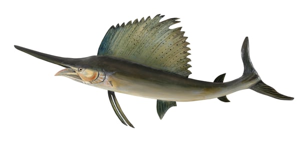 R.G. JANSSON SAILFISH CARVING Cape Cod, Massachusetts, 1889-1970 Length 24".