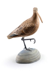 STEVEN WEAVER MINIATURE LONG-BILLED CURLEW Sandwich, Massachusetts, Contemporary Height 4".
