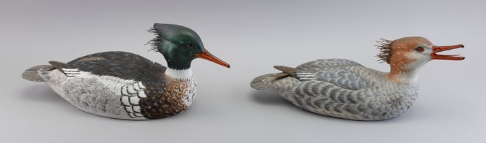 PAIR OF ROSCOE A. CONDON DECORATIVE RED-BREASTED MERGANSERS Fitchburg, Massachusetts, 1935- Lengths