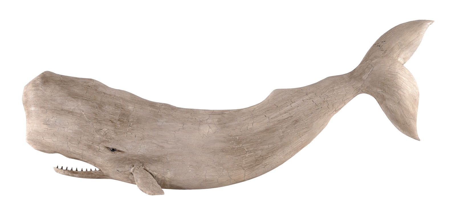 ROGER MITCHELL CARVED SPERM WHALE PLAQUE Massachusetts, Contemporary Length 28".: ROGER MITCHELL CARVED SPERM WHALE PLAQUEMassachusetts, ContemporarySigned on reverse.Length 28". Height approximately 11". Depth approximately 1.375".