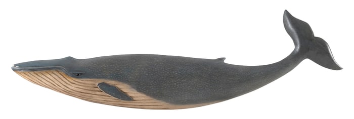 ROGER MITCHELL CARVED BLUE WHALE PLAQUE Massachusetts, Contemporary Length 30".