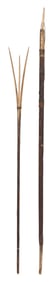 TWO NORTHWEST COASTAL SPEARS 19th Century Lengths 66" and 67".