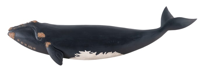 ROGER MITCHELL CARVED RIGHT WHALE PLAQUE Massachusetts, Contemporary Length 30".