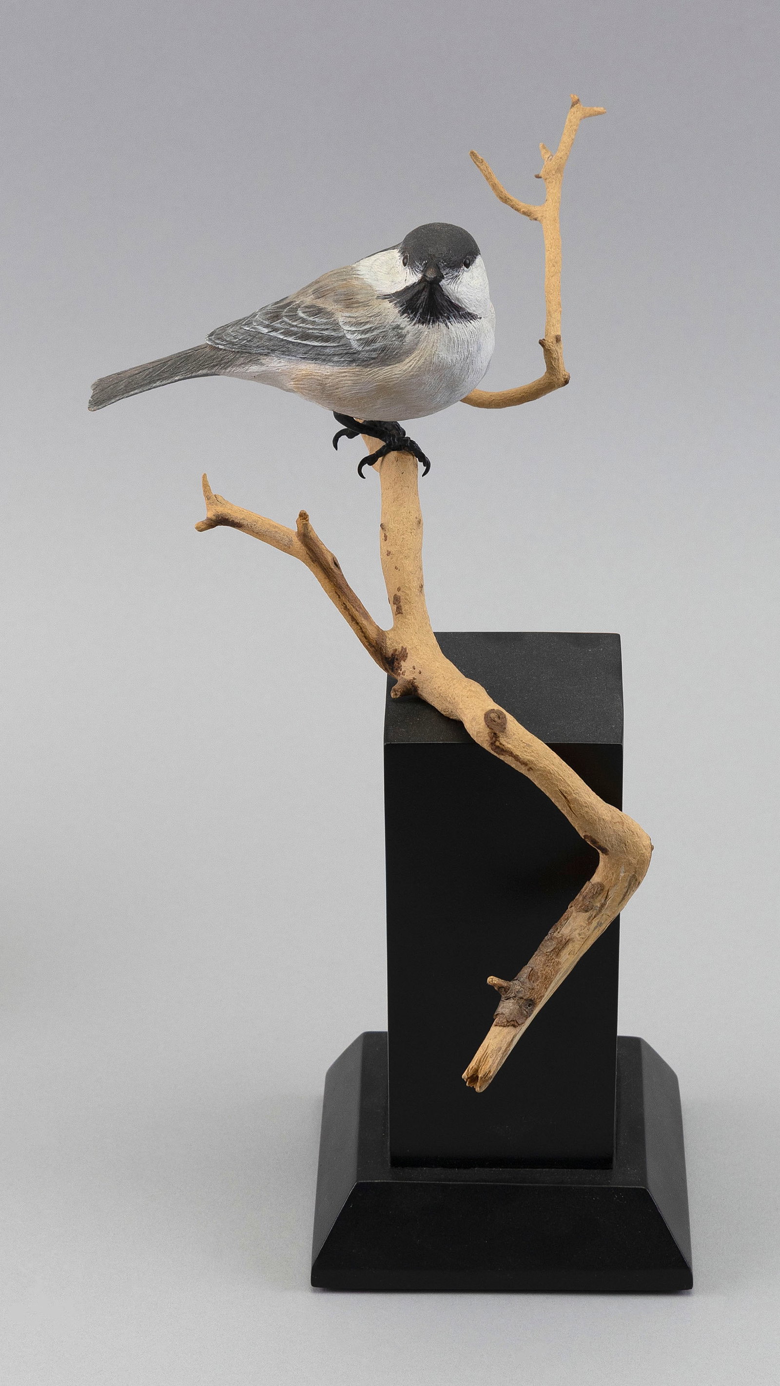 ROSCOE A. CONDON LIFE-SIZE CHICKADEE Fitchburg, Massachusetts, 1935-2025 Height 11".: ROSCOE A. CONDON LIFE-SIZE CHICKADEE Fitchburg, Massachusetts, 1935-2025 Mounted on a black base. Height 11".