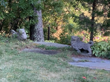 PAIR OF CHINESE CEMENT GUARDIAN FU LIONS Early 20th Century Heights 16". Lengths 17".