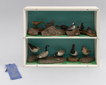 EIGHT JAMES MELLO MINIATURE BIRD CARVINGS Rhode Island, 20th Century Shadow box height 10". Width