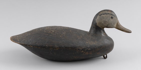 VIRGINIA BLACK DUCK DECOY Early 20th Century Length 16".