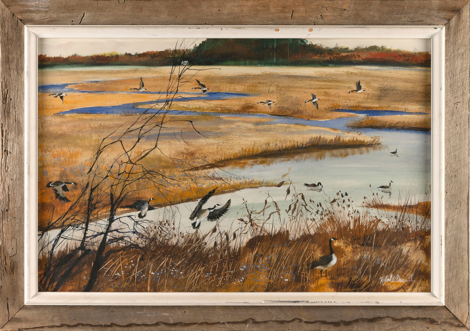 ROBERT DRISCOLL (Massachusetts, 1940-2008), Canada geese in a marsh., Watercolor on paper, 21.5" x (1 of 2)