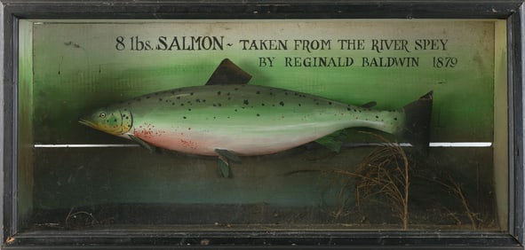 DECORATIVE SALMON TROPHY 20th Century Height 21". Width 43". Depth 7".