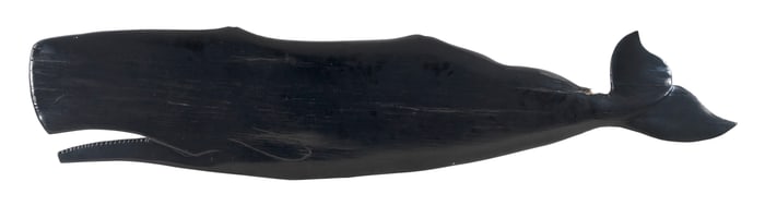 SPERM WHALE PLAQUE 20th Century Length 53.5".