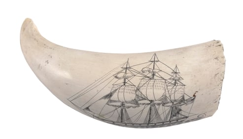 * ENGRAVED WHALE'S TOOTH WITH SHIP PORTRAIT 20th Century Length 5.25".
