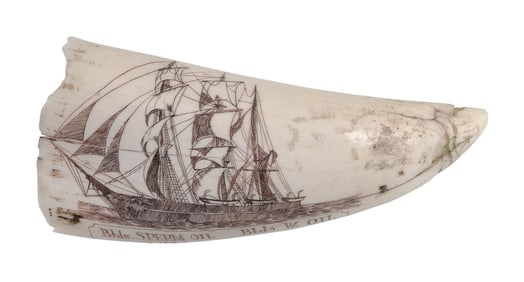 * ENGRAVED WHALE'S TOOTH WITH WHALESHIP PORTRAIT 20th Century Length 6.25".