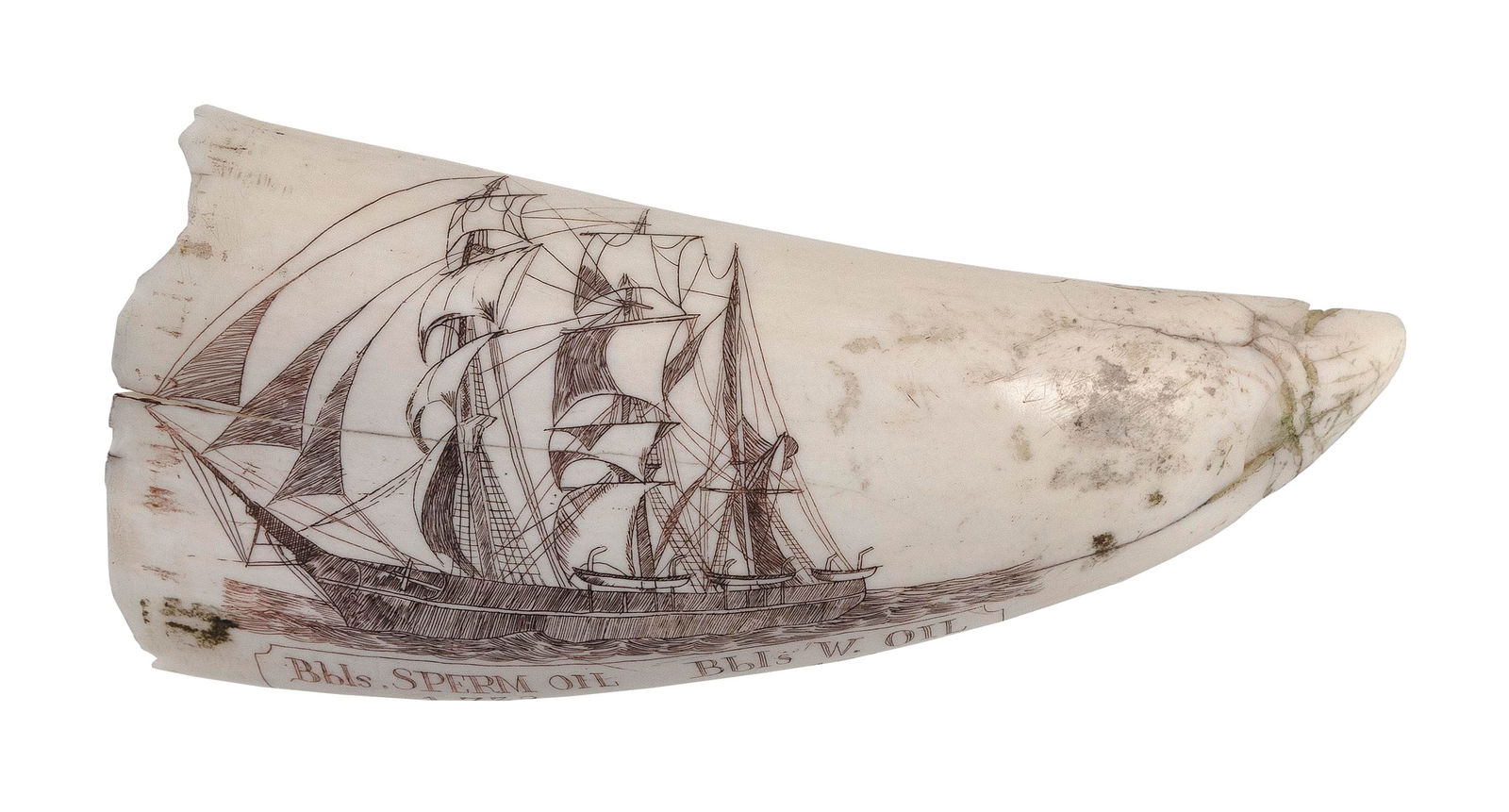 * ENGRAVED WHALE'S TOOTH WITH WHALESHIP PORTRAIT 20th Century Length 6.25". (1 of 3)