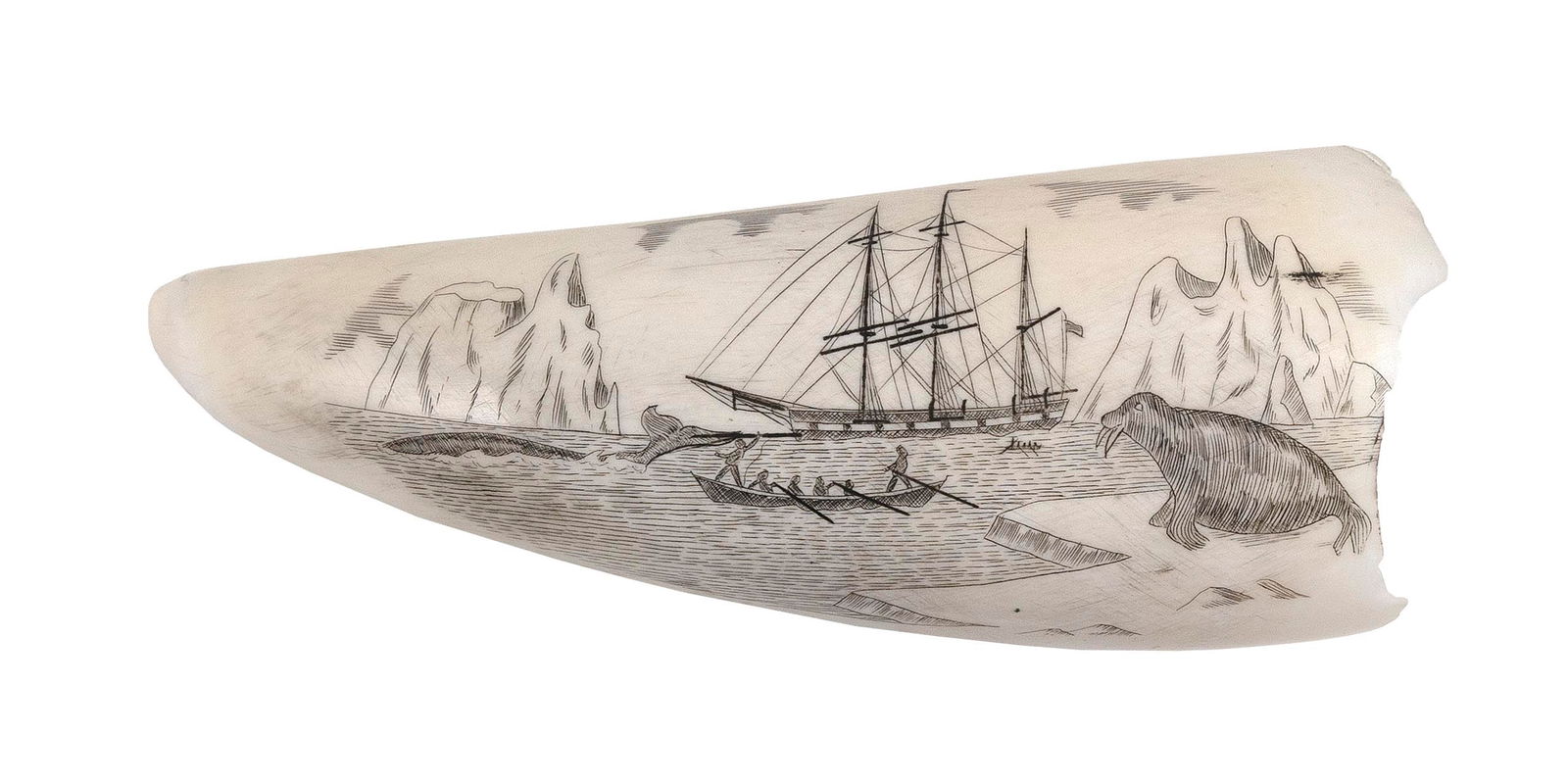 * ENGRAVED WHALE'S TOOTH DEPICTING ARCTIC WHALING 20th Century Length 5". (1 of 2)