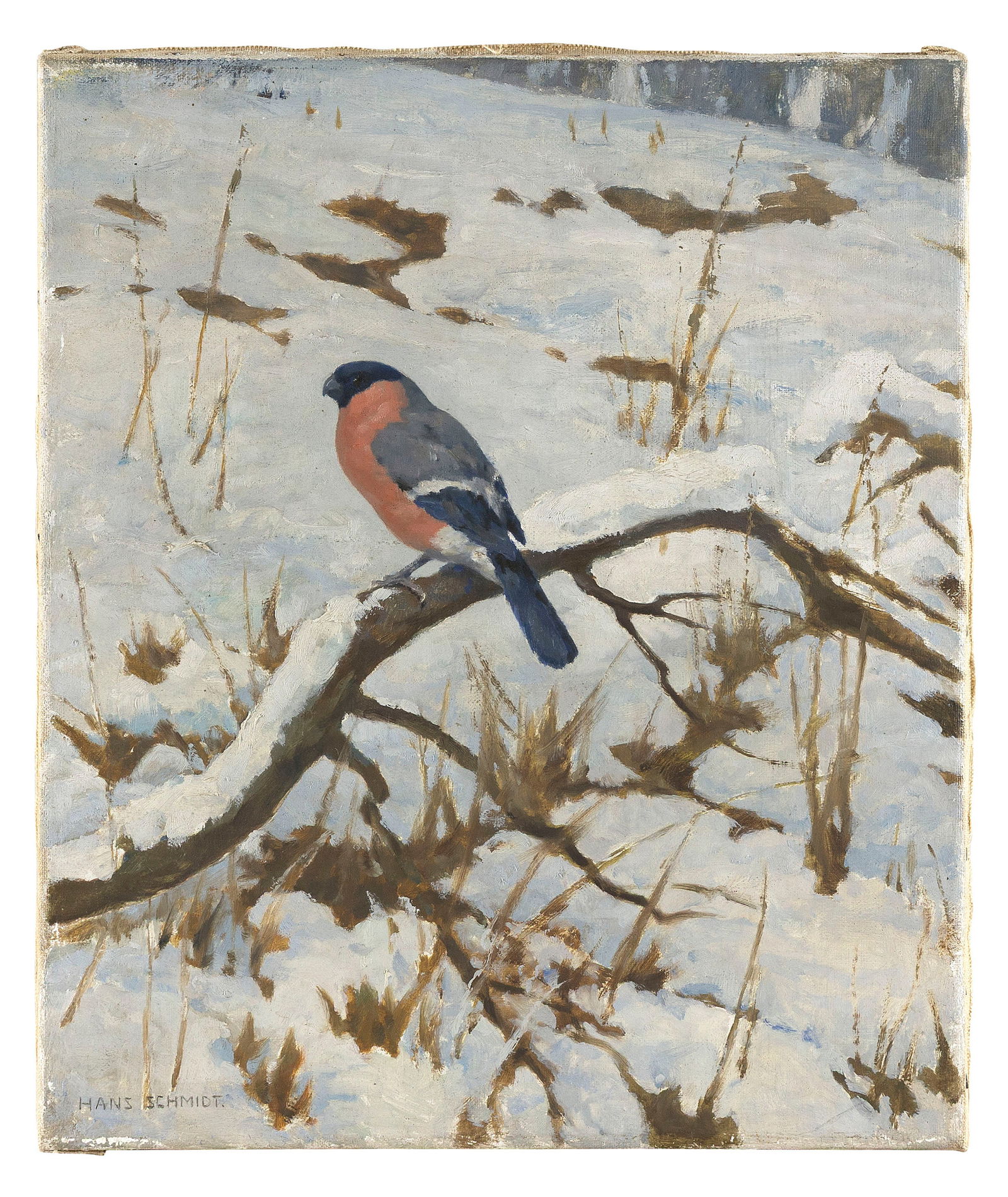 HANS SCHMIDT (Germany, 1877-1958), Songbird in winter., Oil on canvas, 15.5" x 13". Unframed. (1 of 2)