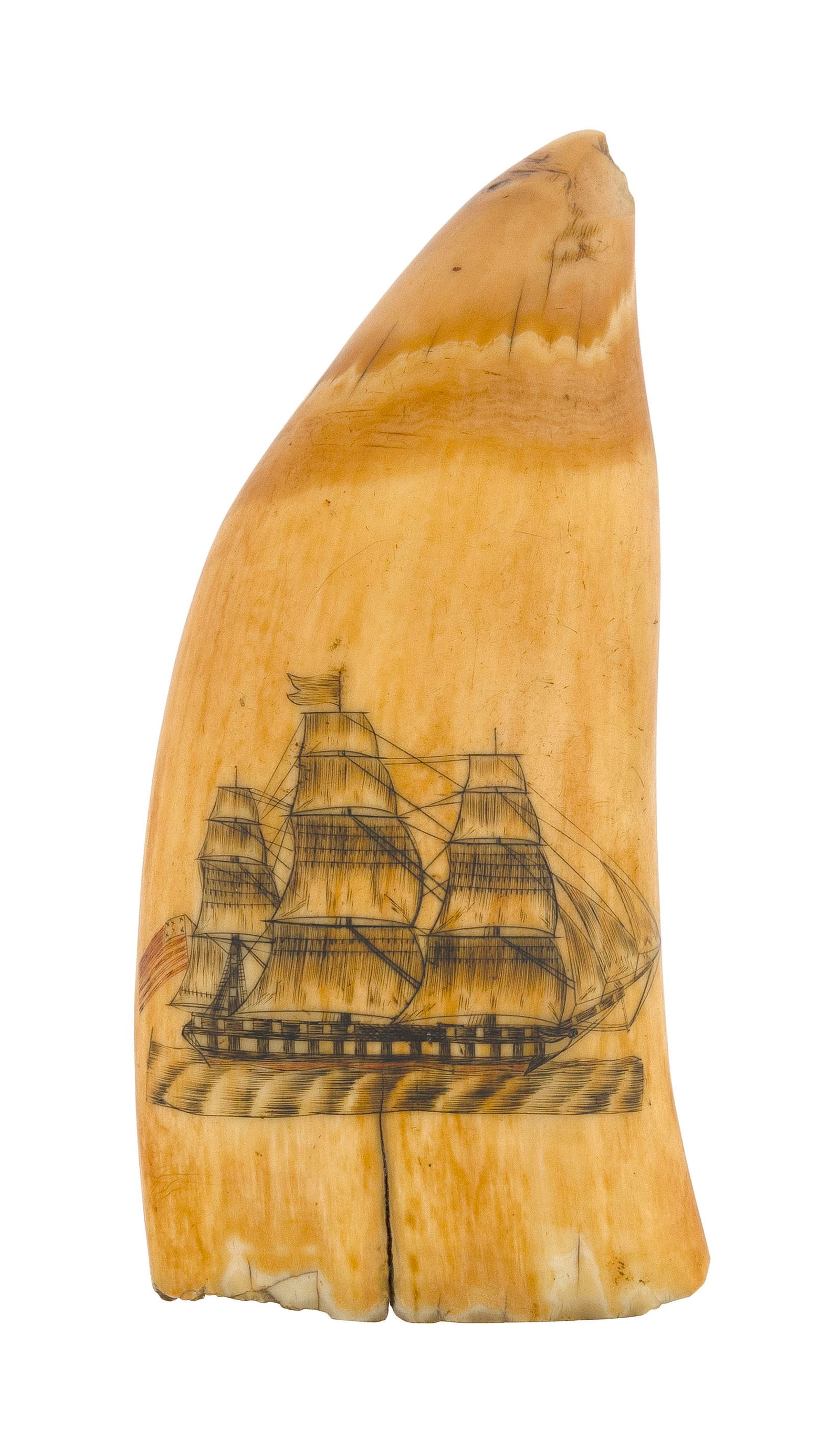 POLYCHROME SCRIMSHAW WHALE'S TOOTH WITH SHIP PORTRAIT Mid-19th Century Length 5.5". (1 of 2)