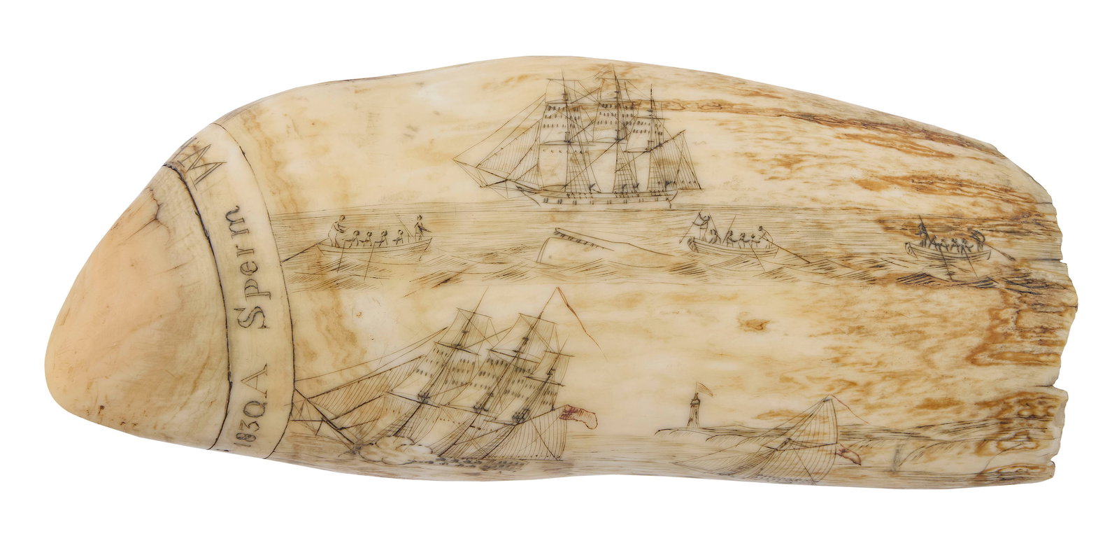 POLYCHROME SCRIMSHAW "A SPERM WHALE'S TOOTH JUNE 11TH 1830" Circa 1830 Length 6.5". (1 of 3)