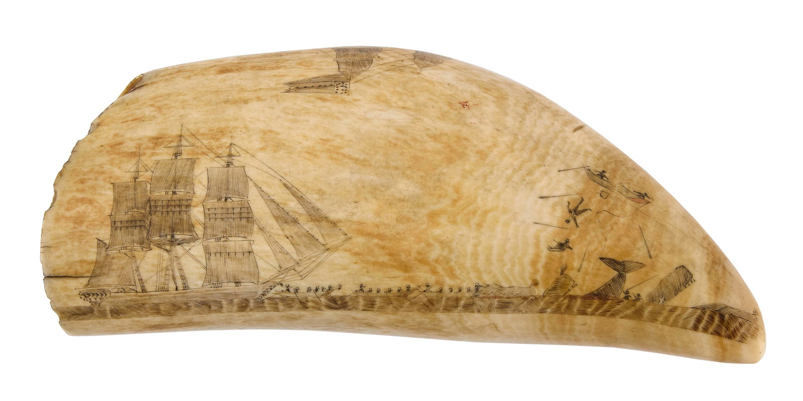 SCRIMSHAW WHALE'S TOOTH WITH WHALING SCENE AND U.S. NAVAL VESSELS Mid-19th Century Length 6.75". (1 of 2)