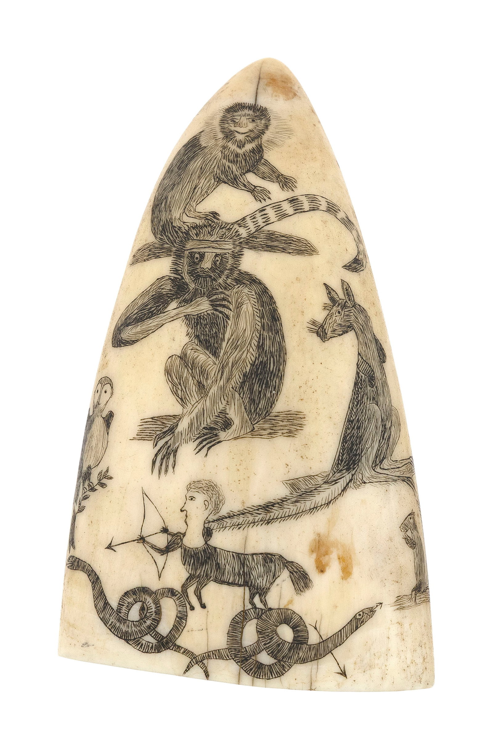 SCRIMSHAW WHALE'S TOOTH DEPICTING EXOTIC ANIMALS 19th Century Length 4.25". (1 of 4)
