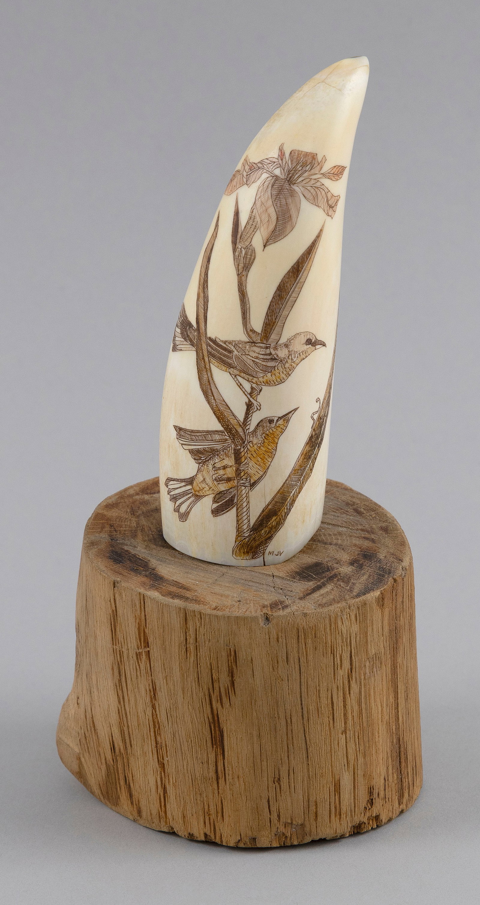 * POLYCHROME ENGRAVED WHALE'S TOOTH BY MICHAEL J. VIENNEAU Nantucket, 20th Century Length 4.5".: * POLYCHROME ENGRAVED WHALE'S TOOTH BY MICHAEL J. VIENNEAUNantucket, 20th CenturyDepicts two songbirds on a flowering branch. Signed "MJV" lower right. * Per Federal Regulation, this item may only be