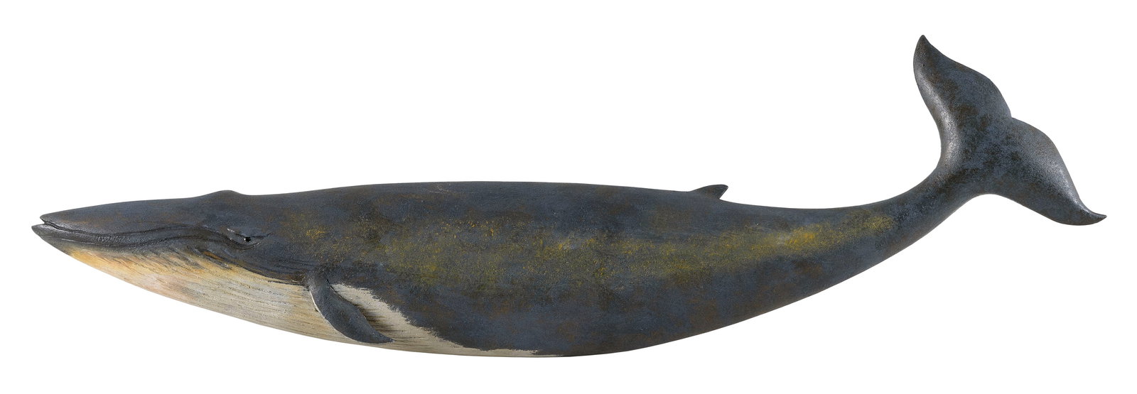 ROGER MITCHELL CARVED BLUE WHALE PLAQUE Massachusetts, Contemporary Length 31". (1 of 1)