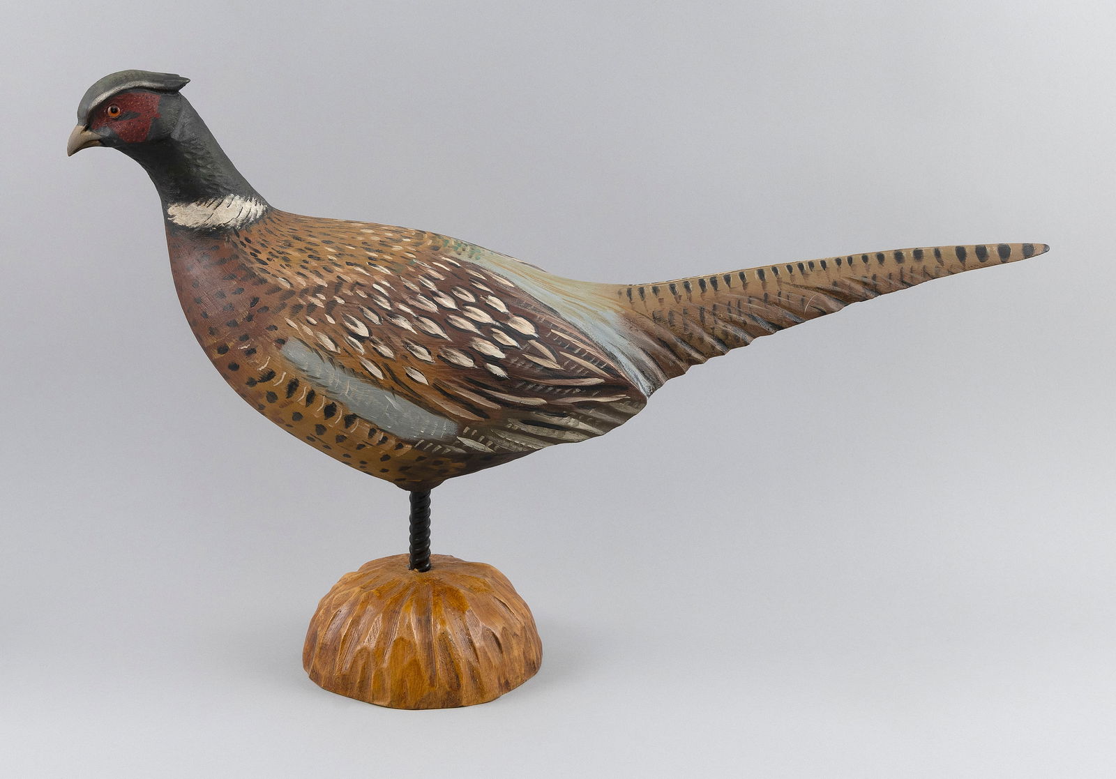 MIKE BORRETT LIFE-SIZE RING-NECKED PHEASANT Madison, Wisconsin, 1960- Height 15". Length 23". (1 of 3)