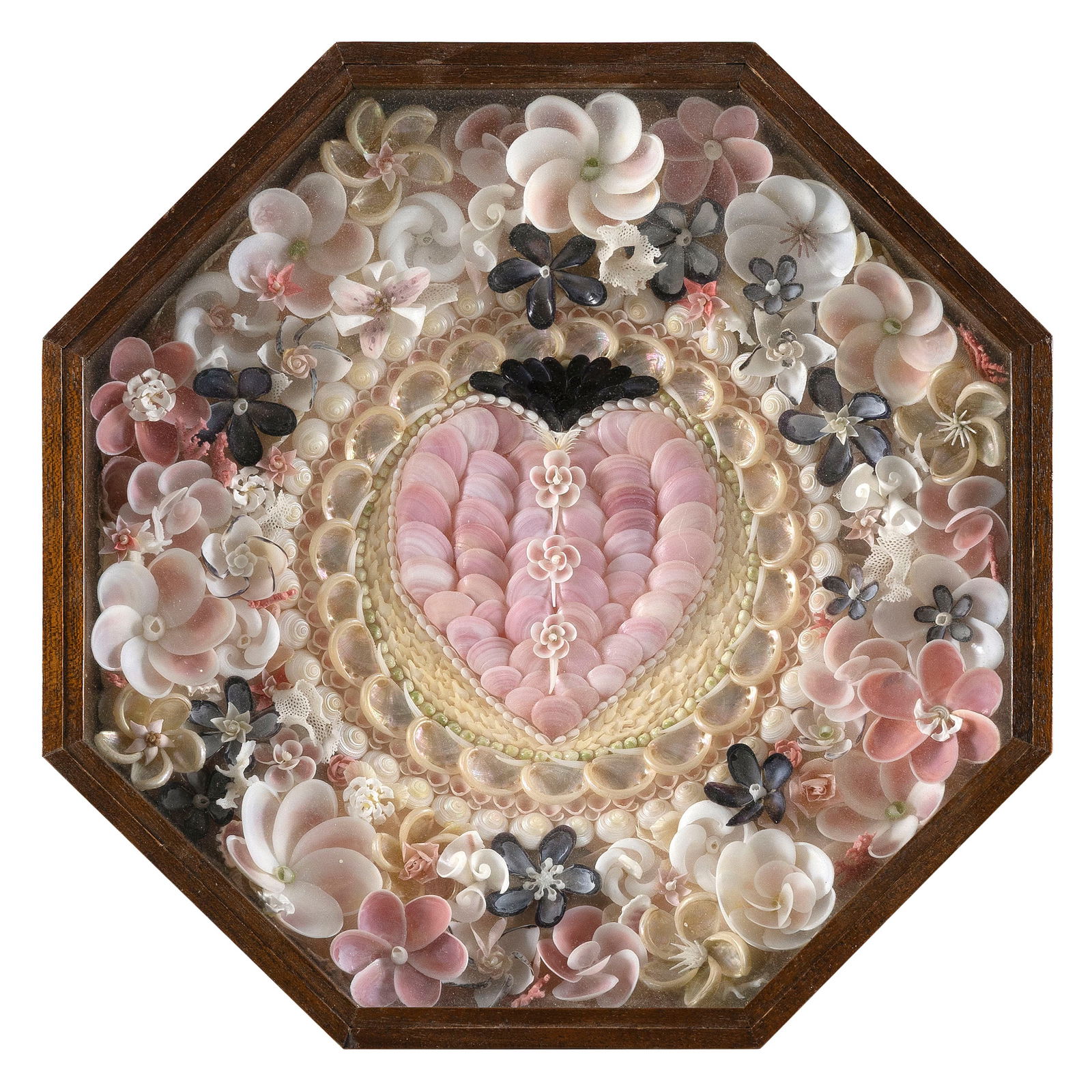SANDY MORAN (Massachusetts, 1944-2020), Sailor's valentine composed of multicolored shells in a (1 of 1)