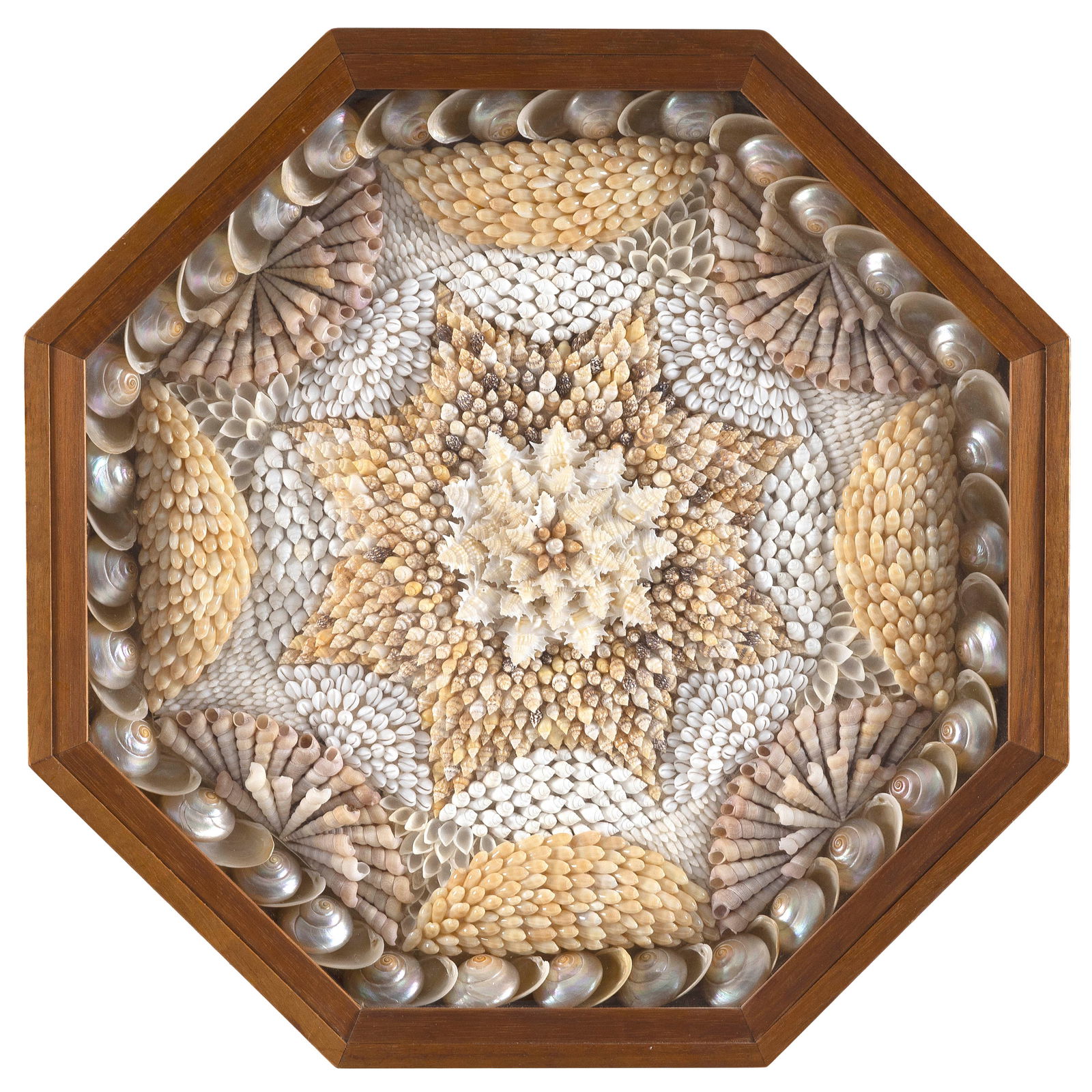 DONNA MCDOWELL (America, 20th Century), Sailor's valentine composed mostly of white, beige and (1 of 1)