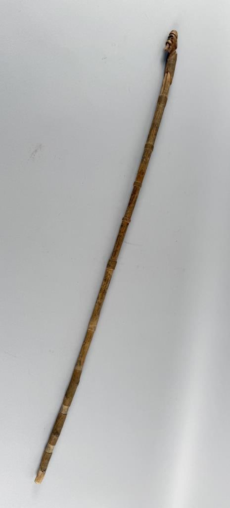 FIGURAL CARVED CANE PERTAINING TO MARK TWAIN Early 20th Century Length 35". (1 of 4)