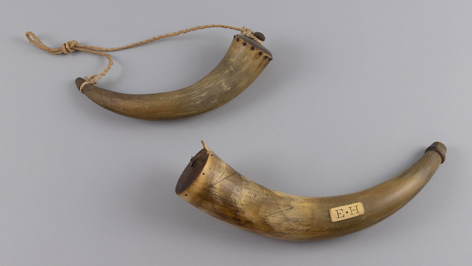 TWO POWDER HORNS 19th Century Lengths 10" and 13". (1 of 1)