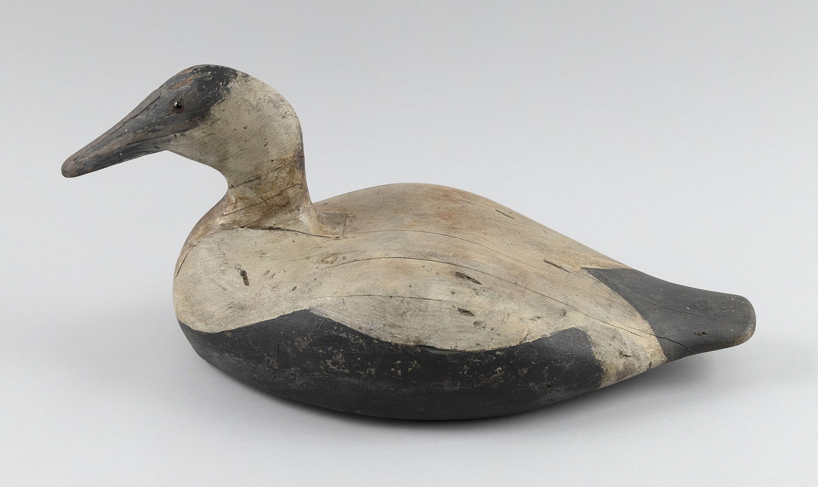 MAINE EIDER DRAKE DECOY Early 20th Century Length 16".: MAINE EIDER DRAKE DECOYEarly 20th CenturyGlass eyes.Length 16".