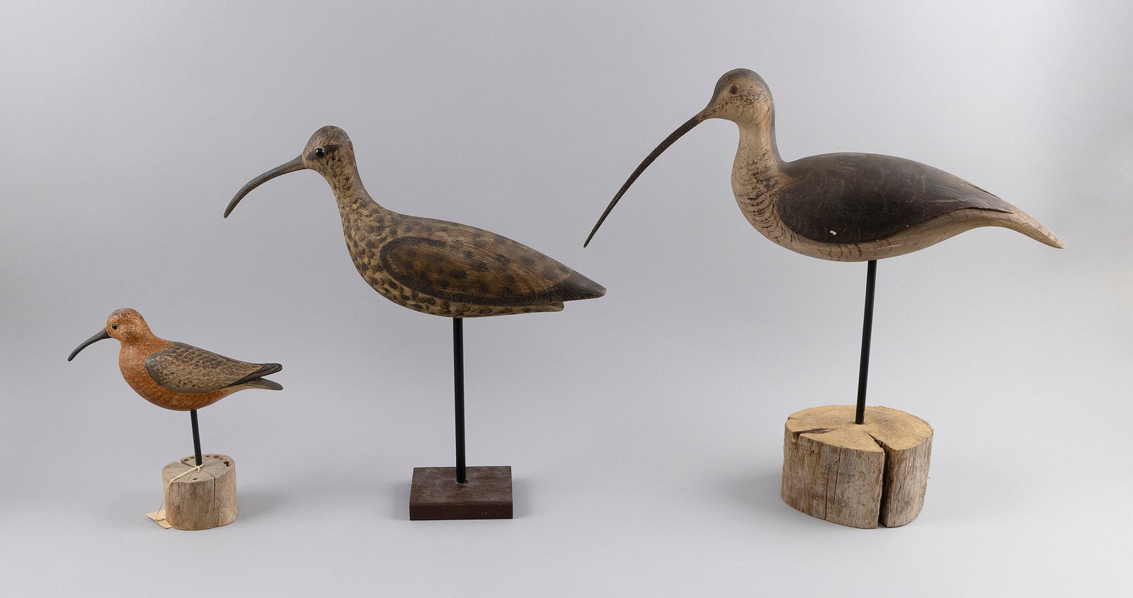 THREE SHOREBIRD DECOYS 20th/21st Century Lengths from 8" to 17.5". (1 of 1)